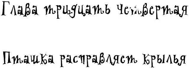 Пташка Мэй королева воинов - изображение 73