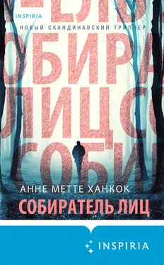 Анне Ханкок Собиратель лиц обложка книги