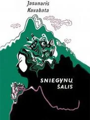 Ясунари Кавабата - Sniegynų šalis