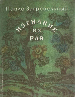 Павел Загребельный Изгнание из рая обложка книги