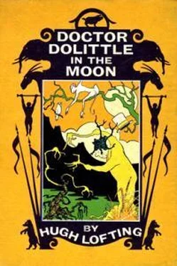 Хью Лофтинг Doctor Dolittle in the Moon обложка книги