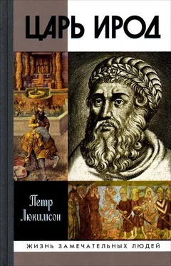 Петр Люкимсон Царь Ирод обложка книги