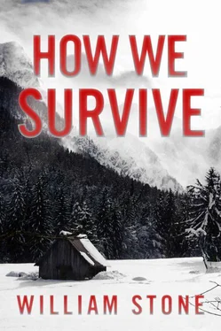 William Stone How We Survive: EMP Survival in a Powerless World обложка книги