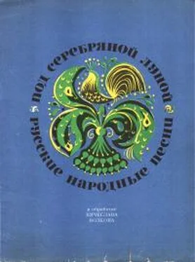 Вячеслав Волков Под серебряной луной обложка книги
