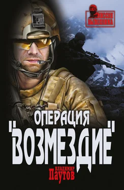 Владимир Паутов Операция «Возмездие» обложка книги