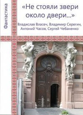 Владислав Власеч «Не стояли звери около двери...» обложка книги