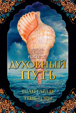 Грегори Робертс Духовный путь [litres] обложка книги