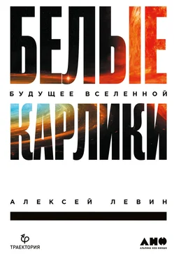 Алексей Левин Белые карлики. Будущее Вселенной обложка книги
