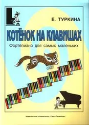 Елена Туркина - Котенок на клавишах