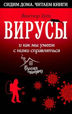 Виктор Зуев Вирусы и как мы умеем с ними справляться обложка книги