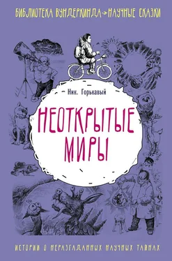 Николай Горькавый Неоткрытые миры обложка книги