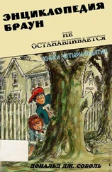 Дональд Соболь - Энциклопедия Браун не останавливается