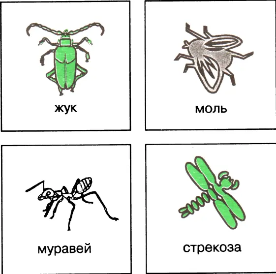 Ответы 1 жук 2 муравей 3 стрекоза 4 моль 1 Какое насекомое пьет - фото 14