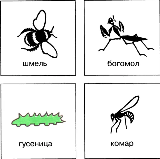 Ответы 1 комар 2 гусеница 3 шмель 4 богомол 1 Кого часто можно - фото 15