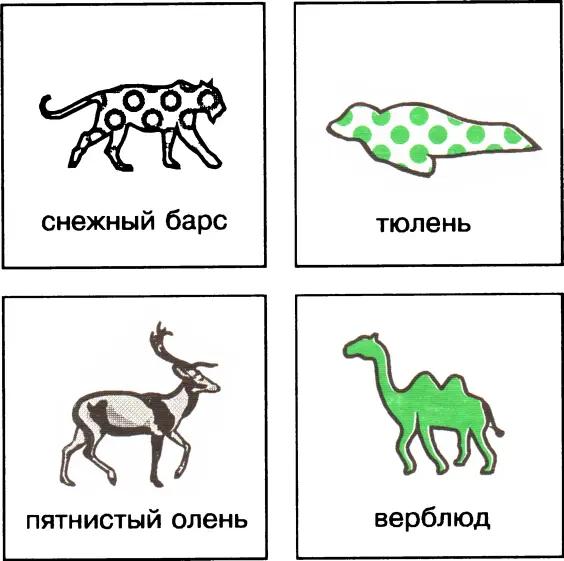 Ответы 1 тюлень 2 пятнистый олень 3 верблюд 4 снежный барс 1 Кто из - фото 30