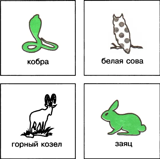 Ответы 1 белая сова 2 заяц 3 кобра 4 горный козел 1 Кто из животных - фото 31