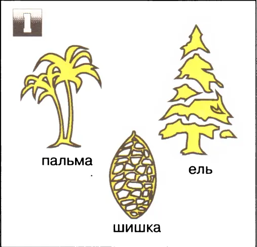 Ответы 1 шишка 2 трава 3 кассета 4 легковая машина - фото 36