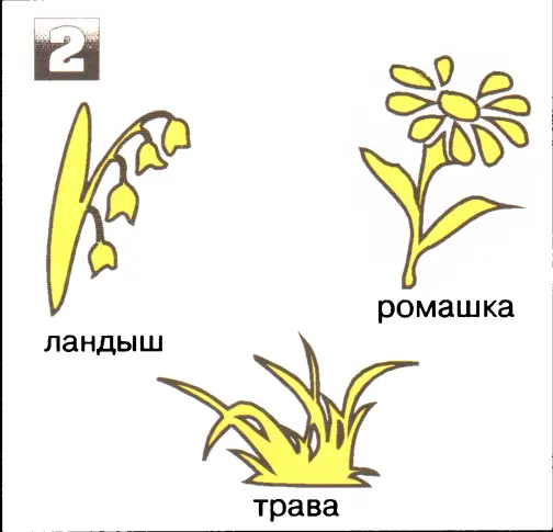 Ответы 1 шишка 2 трава 3 кассета 4 легковая машина Раздел 4 Упоря - фото 37