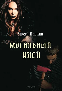 Сергей Аникин Могильный улей обложка книги