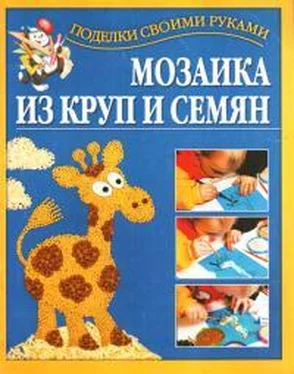 Григорий Перевертень Мозаика из круп и семян обложка книги