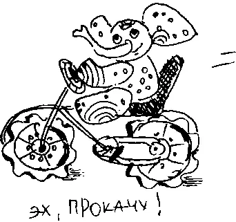 Варвара Любопытная и её доверенное лицо Диана Колотовкина Рисунки Марии - фото 27