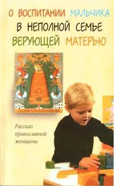 Елена Богушева О воспитании мальчика в неполной семье верующей матерью обложка книги