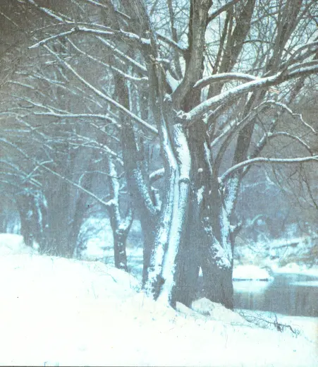 Владимир Сергеевич Захаров известный молодой фотохудожник безвременно - фото 3