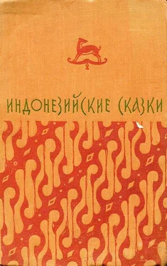 Валентин Островский Индонезийские сказки обложка книги