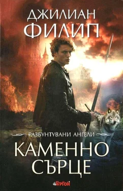 Джиллиан Филлипп Каменно сърце обложка книги