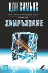Дэн Симмонс - Замръзване