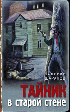 Валерий Шарапов Тайник в старой стене [litres] обложка книги