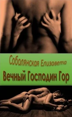 Елизавета Соболянская Вечный Господин Гор [СИ] обложка книги