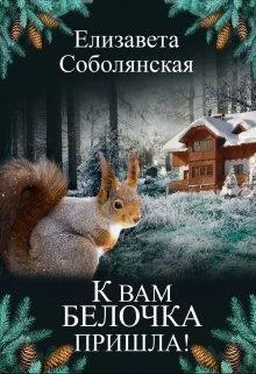 Елизавета Соболянская К вам белочка пришла... [СИ] обложка книги