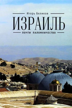 Игорь Беликов Израиль: почти паломничество обложка книги