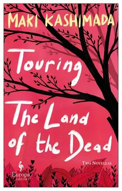 Maki Kashimada Touring the Land of the Dead: Two Novellas обложка книги