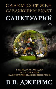 Вик Джеймс Санктуарий обложка книги