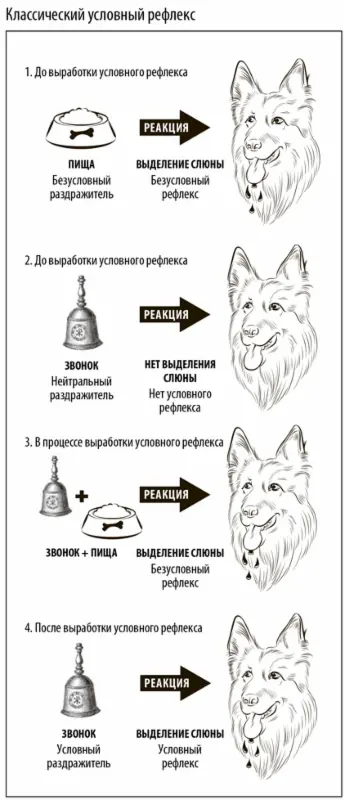 В дополнение к физическим пыткам пленник вроде Теона часто подвергается - фото 25