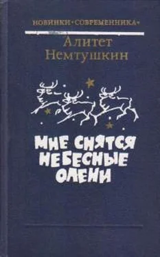 Алитет Немтушкин Мне снятся небесные олени обложка книги