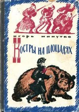 Игорь Минутко Костры на площадях обложка книги