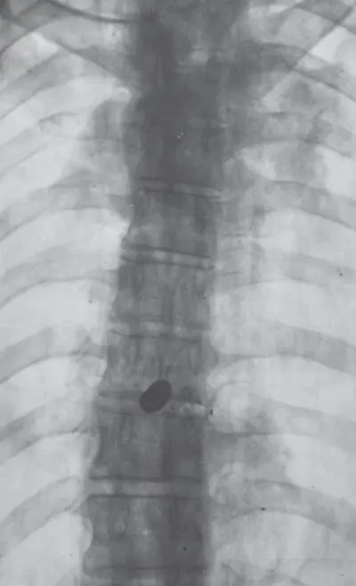 Бенавидес позволил чтобы на лице у него появилось нечто вроде улыбки Отец - фото 3