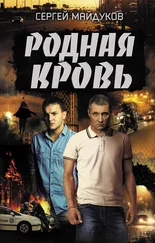 Сергей Майдуков - Родная кровь