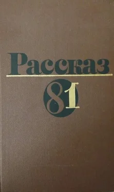 Анатолий Макаров Ночью, на исходе зимы обложка книги