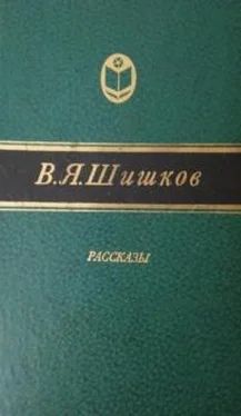 Вячеслав Шишков Та сторона обложка книги