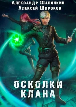 Александр Шапочкин Осколки клана. Том 1 обложка книги