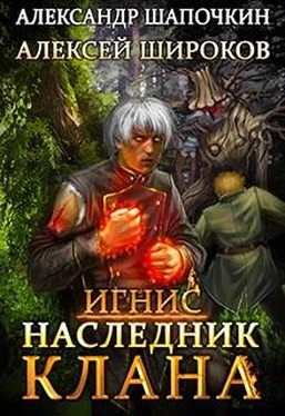 Александр Шапочкин Наследник клана (Взрыв это случайность) обложка книги