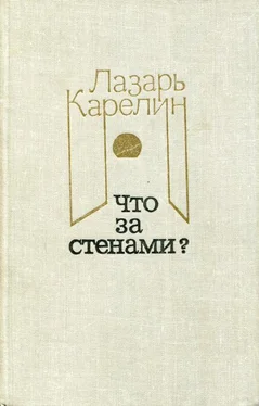 Лазарь Карелин Что за стенами? [сборник] обложка книги