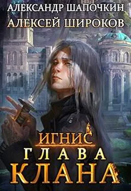 Александр Шапочкин Глава клана. Том 1 обложка книги