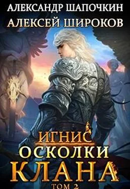 Александр Шапочкин Осколки клана. Том 2 обложка книги