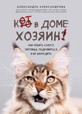 Александра Александрова Кот в доме хозяин! Как понять своего питомца, подружиться и не навредить обложка книги