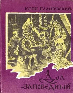 Юрий Плашевский Дол Заповедный обложка книги